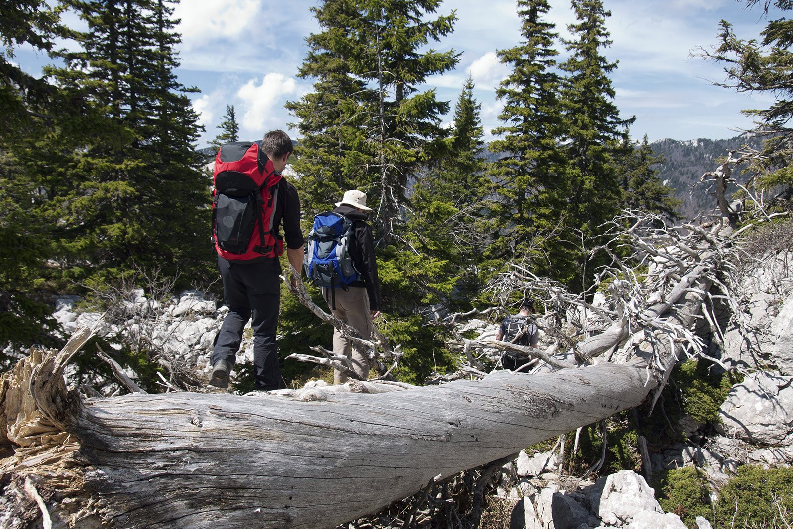 Velebit hiking